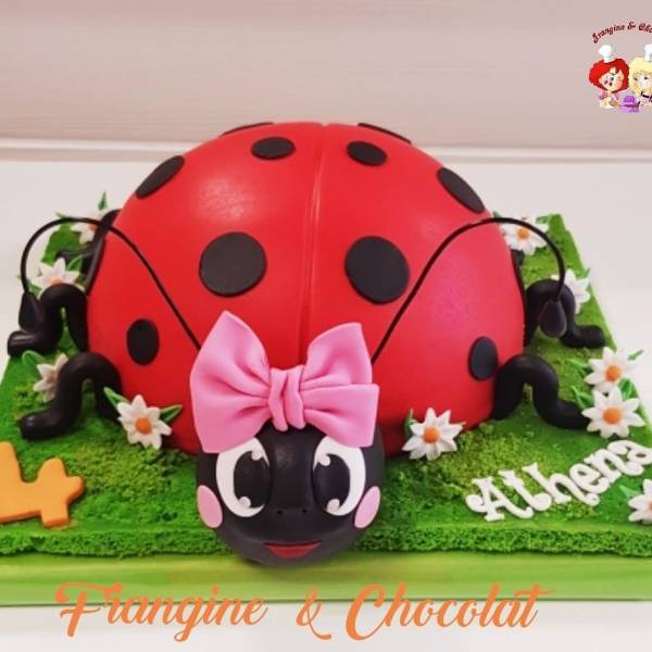 Gâteau coccinelle sur Aix en Provence